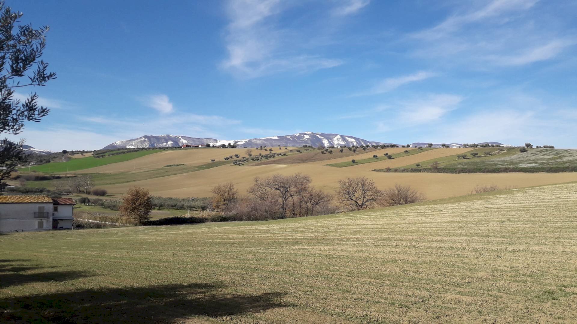 Foto 2 - Terreno agricolo Via S.Antonio, Alanno - foto 2
