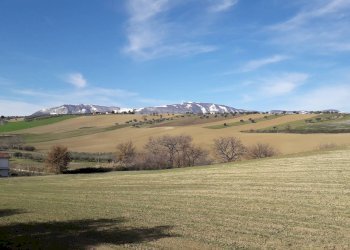 Foto 2 - Terreno agricolo Via S.Antonio, Alanno - foto 2