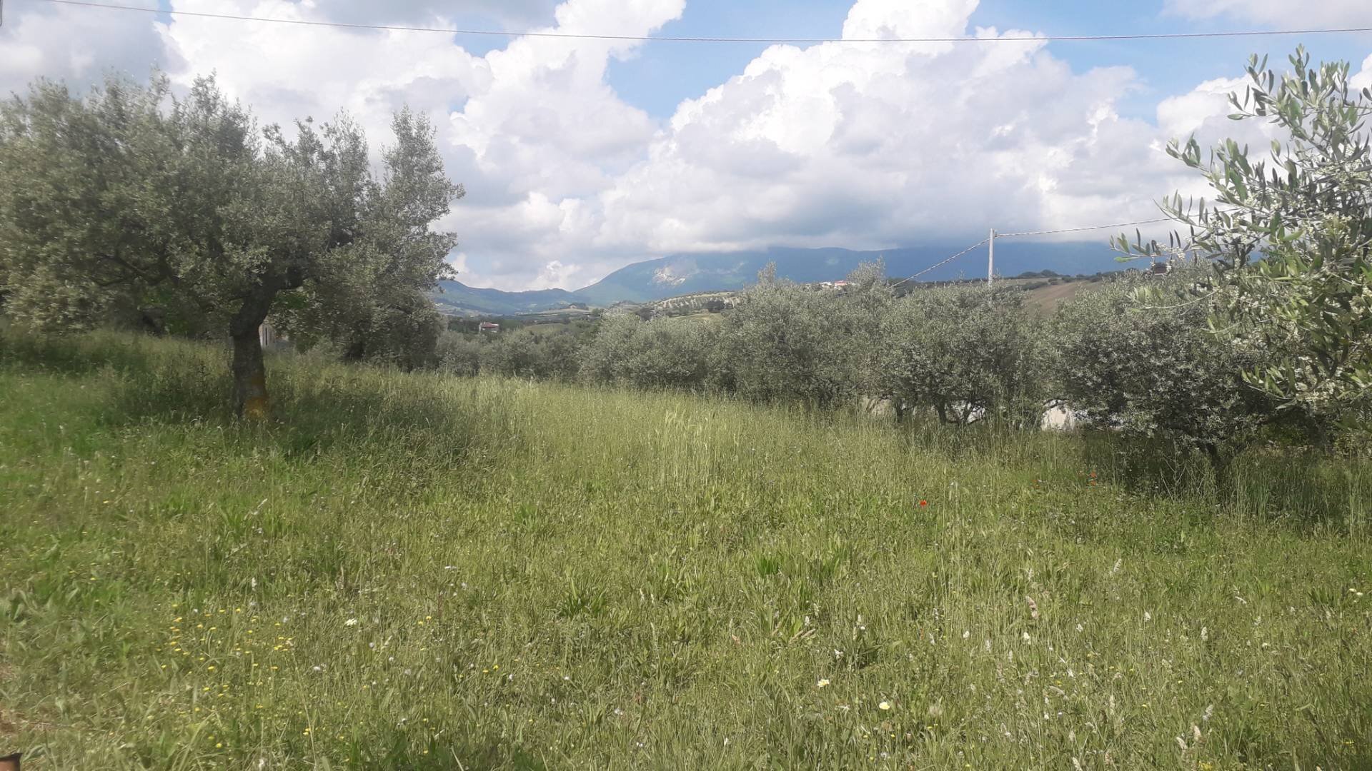 Foto 1 - Terreno edificabile Via Prati, Alanno - foto 1