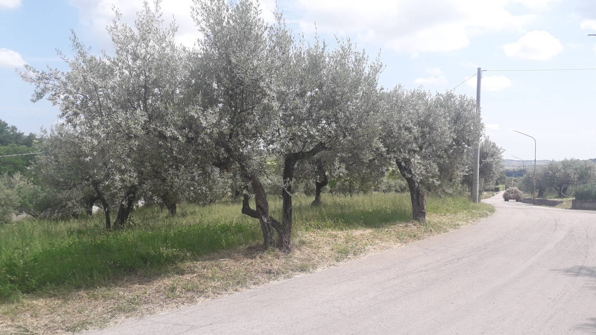 Foto 3 - Terreno edificabile Via Prati, Alanno - foto 3