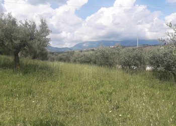 Foto 1 - Terreno edificabile Via Prati, Alanno - foto 1