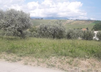 Foto 4 - Terreno edificabile Via Prati, Alanno - foto 4