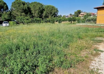 Foto 4 - Terreno edificabile Santa Cresimata, Cepagatti - foto 4