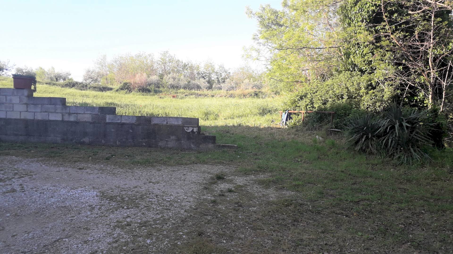 Foto 2 - Agricultural land Via Colle del Feudo, Ripa Teatina - photo 2