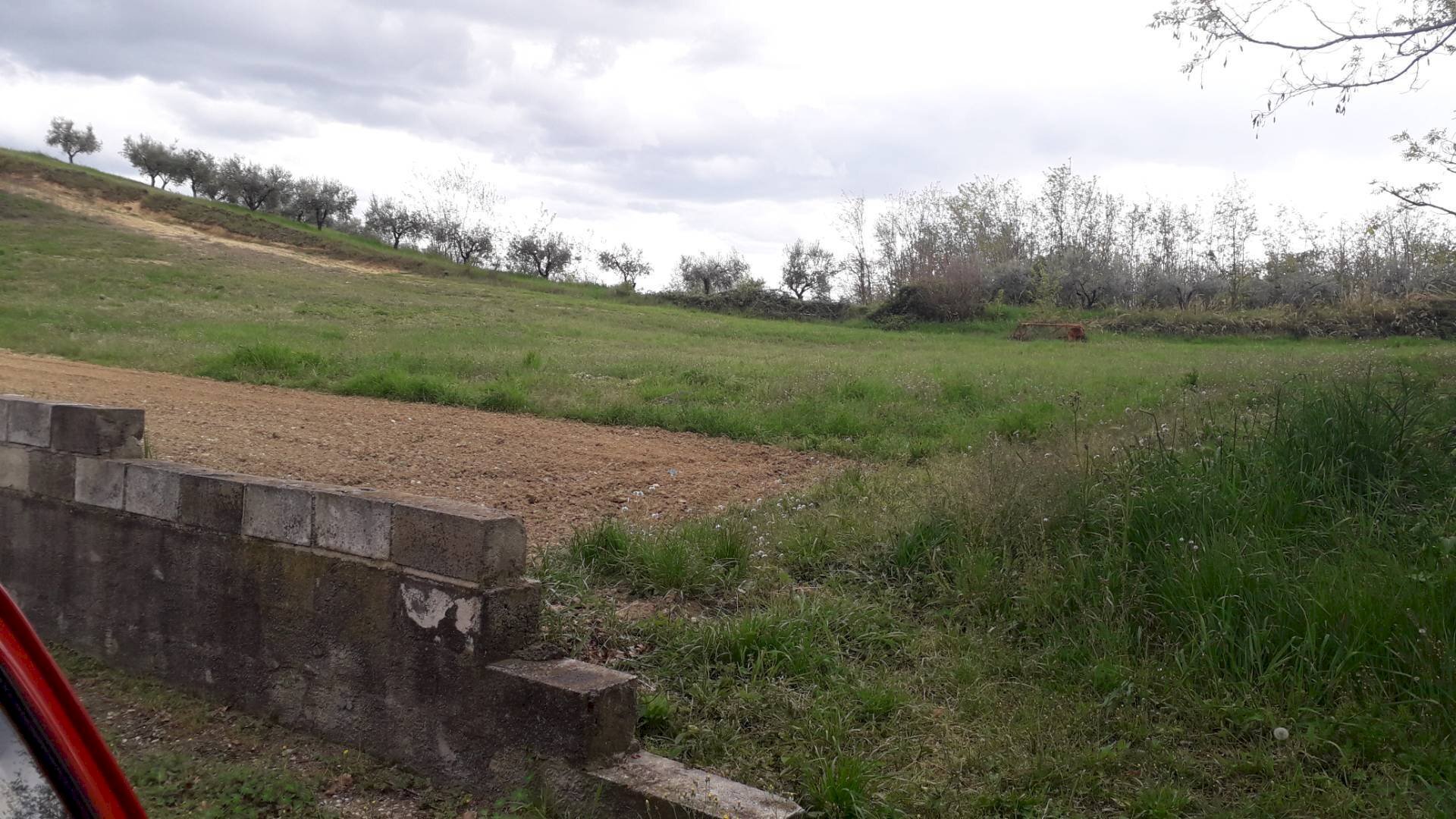 Foto 3 - Agricultural land Via Colle del Feudo, Ripa Teatina - photo 3