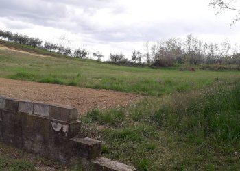 Foto 3 - Terreno agricolo Via Colle del Feudo, Ripa Teatina - foto 3