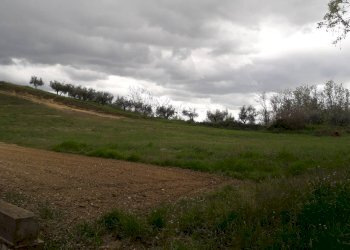 Foto 4 - Terreno agricolo Via Colle del Feudo, Ripa Teatina - foto 4