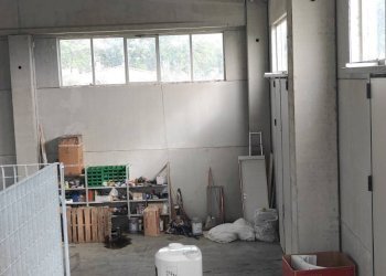 Foto 15 - Capannone Rosciano - foto 15