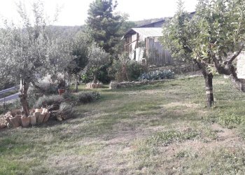 Foto 23 - Casa indipendente Via Colleperluzio, Roccamontepiano - foto 23