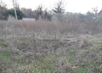 Foto 5 - Terreno edificabile Via Provinciale Manoppello, Lettomanoppello - foto 5