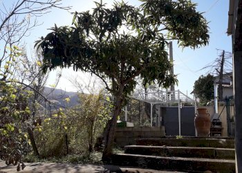 Foto 6 - Casa indipendente Contrada Colle Serra, Serramonacesca - foto 6