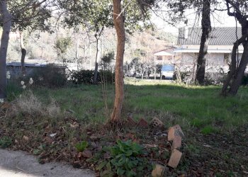 Foto 16 - Casa indipendente Via Maiella, Casalincontrada - foto 16