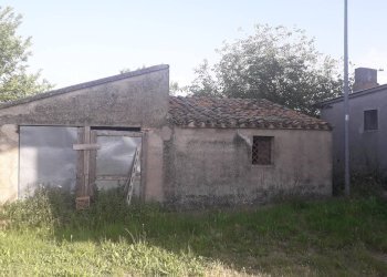 Foto 4 - Terreno agricolo Via Colle Rotondo, Alanno - foto 4