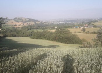 Foto 5 - Terreno agricolo Via Colle Rotondo, Alanno - foto 5