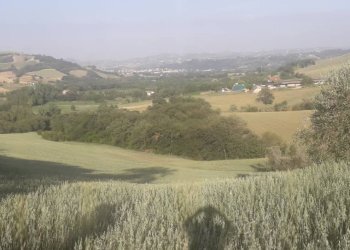Foto 6 - Terreno agricolo Via Colle Rotondo, Alanno - foto 6