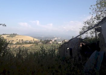 Foto 7 - Terreno agricolo Via Colle Rotondo, Alanno - foto 7