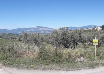 Foto 4 - Terreno agricolo Via Belvedere, Turrivalignani - foto 4