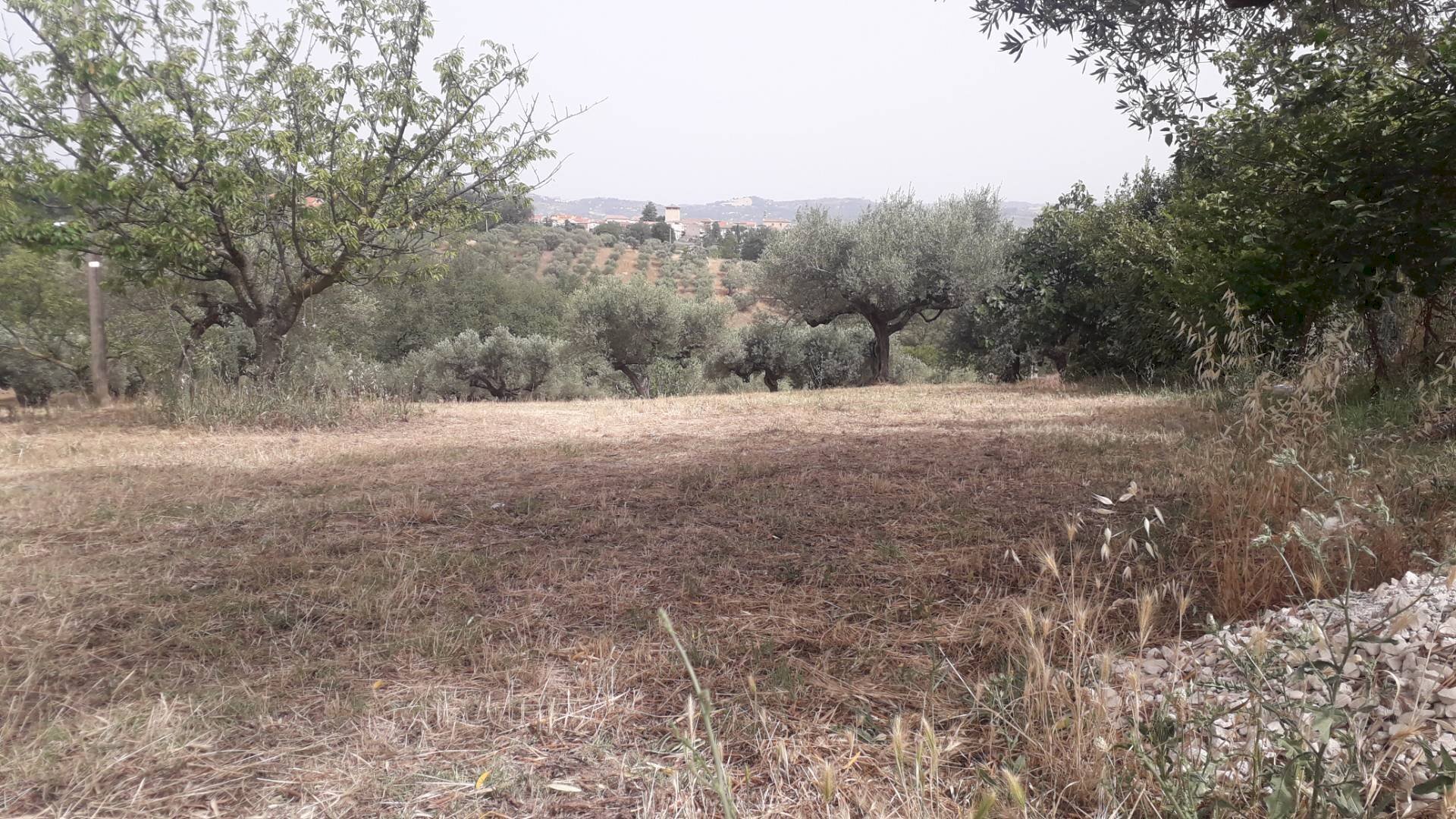 Foto 1 - Building land Via Stella, Cepagatti - photo 1