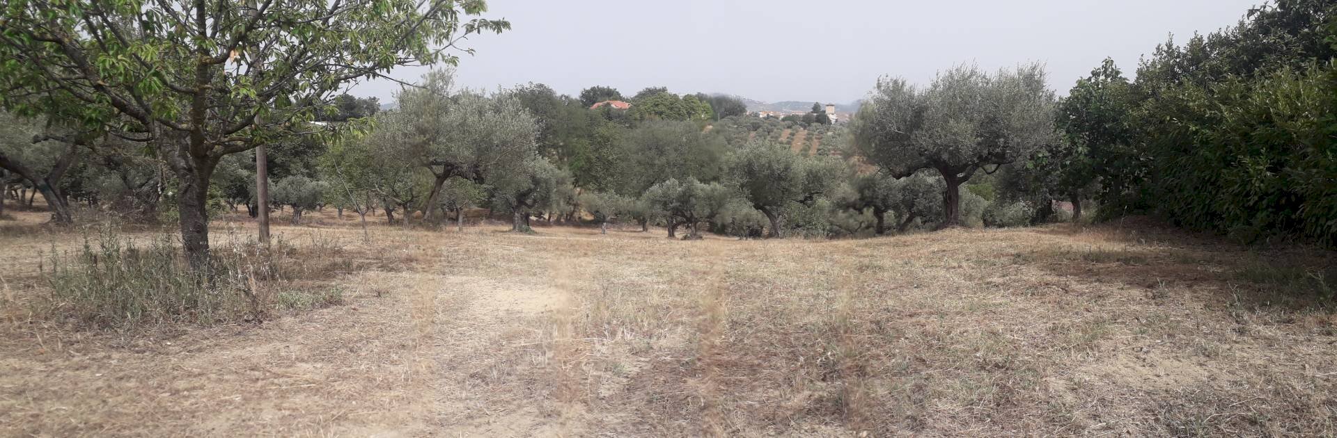 Foto 2 - Building land Via Stella, Cepagatti - photo 2