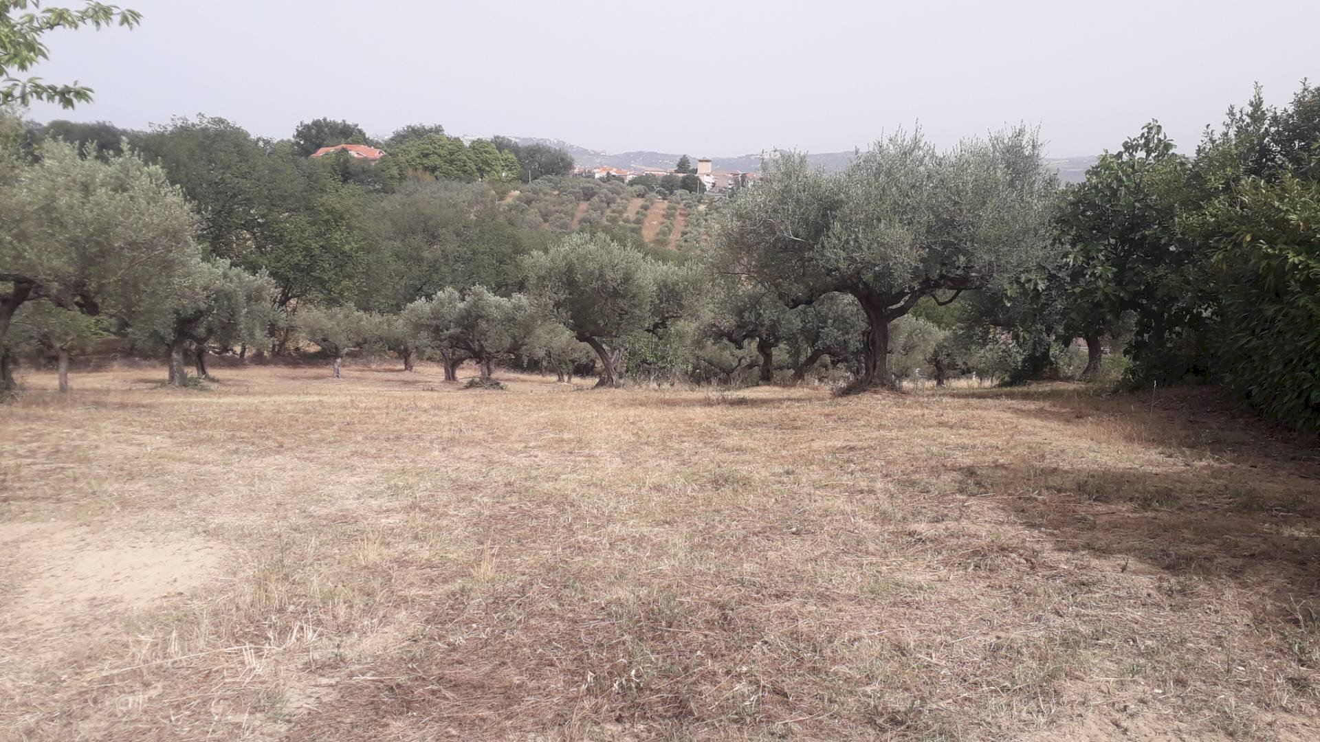 Foto 3 - Building land Via Stella, Cepagatti - photo 3