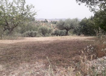 Foto 1 - Terreno edificabile Via Stella, Cepagatti - foto 1