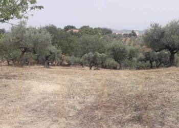 Foto 2 - Terreno edificabile Via Stella, Cepagatti - foto 2