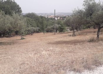 Foto 4 - Terreno edificabile Via Stella, Cepagatti - foto 4