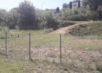 Foto 6 - Terreno edificabile Contrada Sant'Agata, Vacri - foto 6