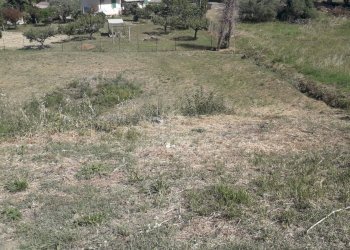 Foto 7 - Terreno edificabile Contrada Sant'Agata, Vacri - foto 7