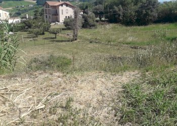 Foto 8 - Terreno edificabile Contrada Sant'Agata, Vacri - foto 8