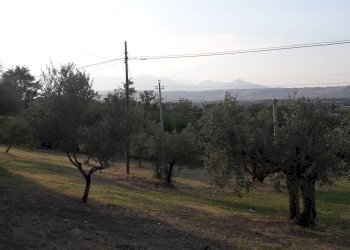 Foto 3 - Terreno edificabile Via Gran Sasso, Alanno - foto 3