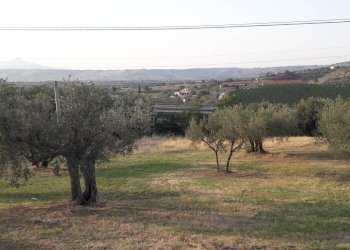 Foto 4 - Terreno edificabile Via Gran Sasso, Alanno - foto 4
