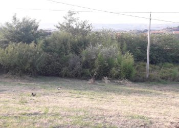 Foto 7 - Terreno edificabile Via Gran Sasso, Alanno - foto 7