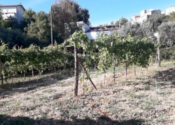 Foto 10 - Casa indipendente Via Convento Vecchio, Rapino - foto 10