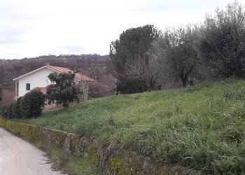 Foto 15 - Casa indipendente Via dei Legnini, Roccamontepiano - foto 15