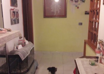 Foto 9 - Three-room apartment Via della Grava, Roccamontepiano - photo 9