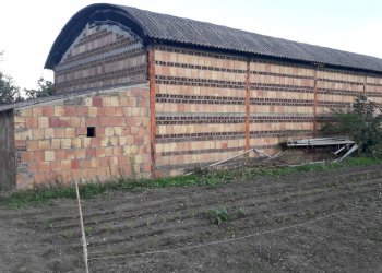 Foto 21 - Casa indipendente Via Fraticelli, Alanno - foto 21