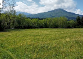 Foto 4 - Terreno edificabile Piazza Salvo d'Acquisto
 
snc, Andorno Micca - foto 4