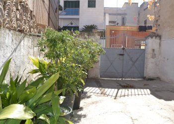 Foto 6 - Casa indipendente via Piave, Canosa di Puglia - foto 6