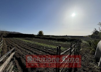 Foto 18 - Villa Contrada Sardoni, Minervino Murge - foto 18