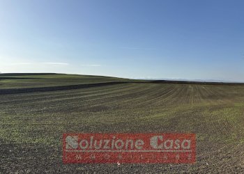 Foto 19 - Villa Contrada Sardoni, Minervino Murge - foto 19