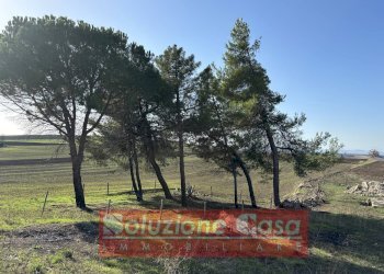 Foto 20 - Villa Contrada Sardoni, Minervino Murge - foto 20