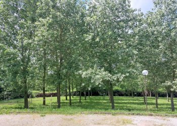 Foto 18 - Monolocale Via Cento, Ferrara - foto 18