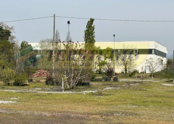 Foto 4 - Terreno agricolo Via Muratella
 
snc, Cologno al Serio - foto 4