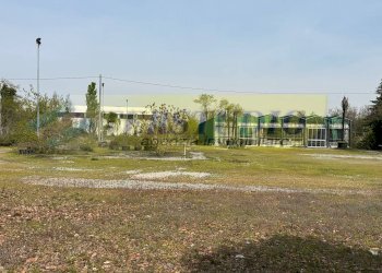 Foto 5 - Terreno agricolo Via Muratella
 
snc, Cologno al Serio - foto 5