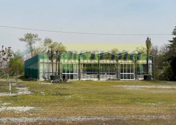 Foto 7 - Terreno agricolo Via Muratella
 
snc, Cologno al Serio - foto 7