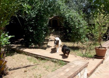 Foto 6 - Casa indipendente castelvenere via fontana delle selve
 
53, Telese Terme - foto 6