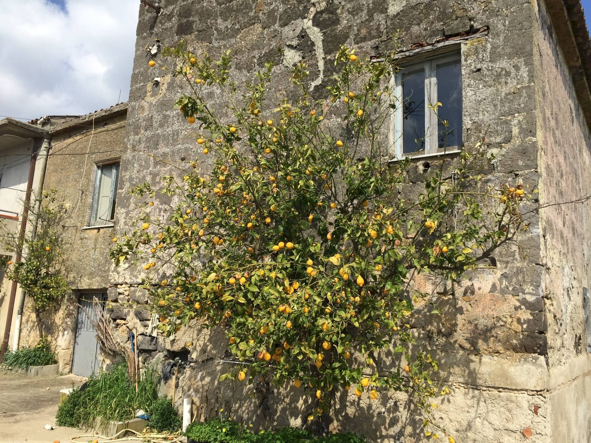 Foto 1 - Rustico VIA SAN GIOVANNI, Telese Terme - foto 1