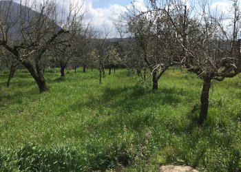 Foto 4 - Rustico VIA SAN GIOVANNI, Telese Terme - foto 4