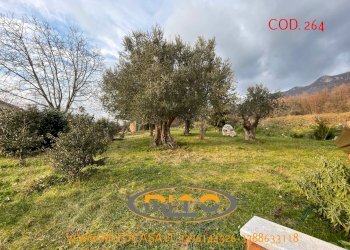 Foto 7 - Villa Gioia Sannitica - foto 7